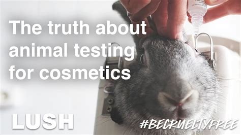 chanel animal testing laws.